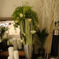 !2009 02 17 023.JPG